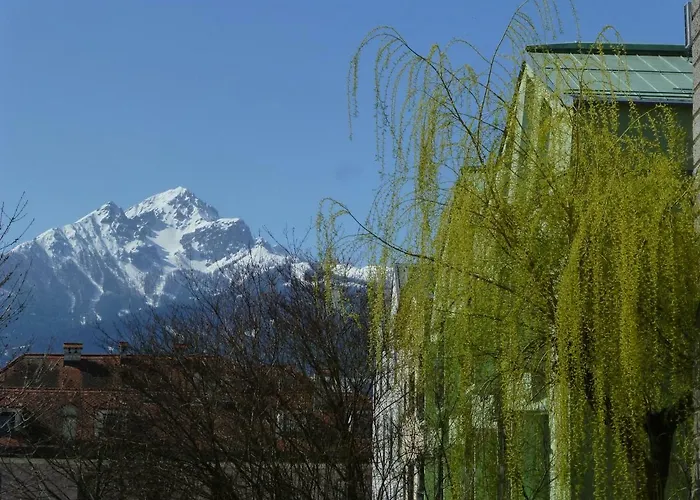 Im Herzen Von Apartment *