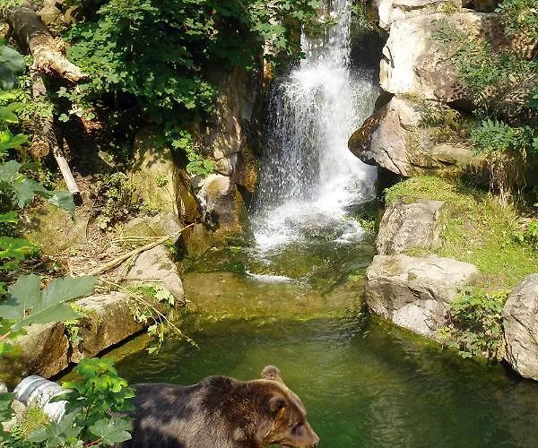 Im Herzen Von Apartment *